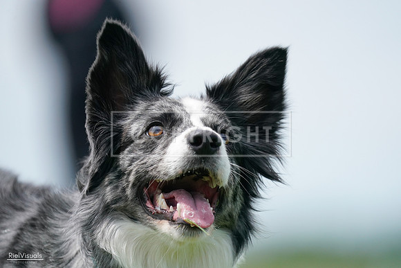 RielVisuals_20240525_124305_SJR00958