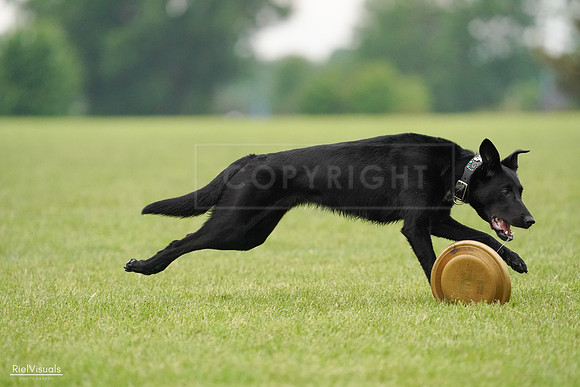 RielVisuals_20240527_110404_SJR02779