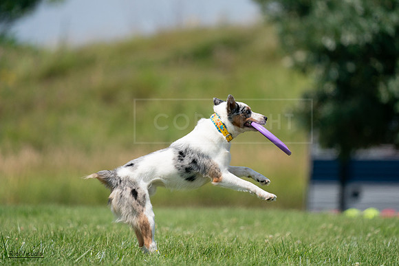 RielVisuals_20240727_140046_SJR09251