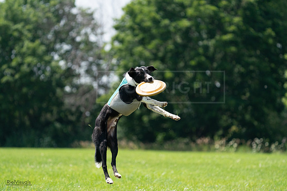 RielVisuals_20240728_132826_SJR06343