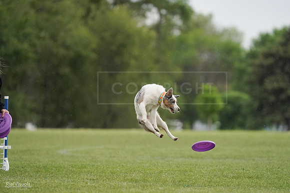 RielVisuals_20240526_092820_SJR00120