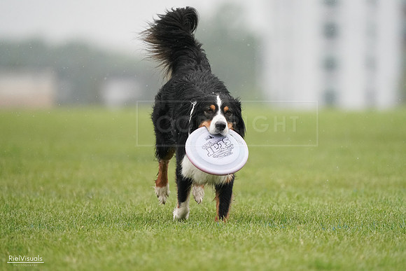 RielVisuals_20240527_104849_SJR01830