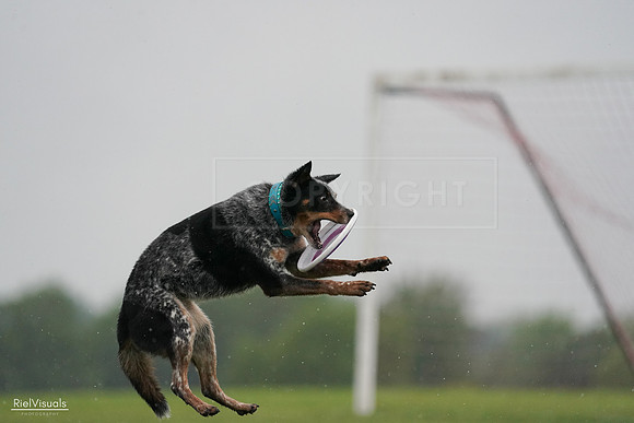RielVisuals_20240527_105233_SJR02107