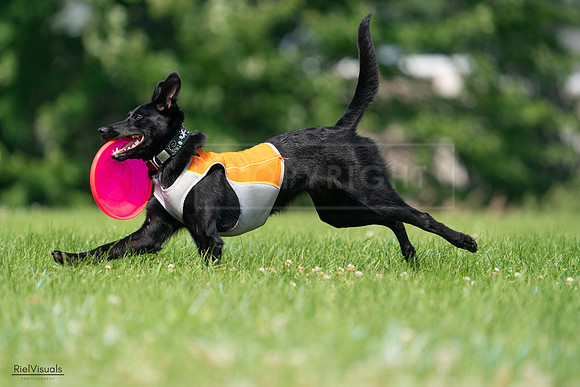 RielVisuals_20240727_115434_SJR04256