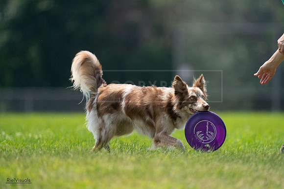 RielVisuals_20240727_131238_SJR07194