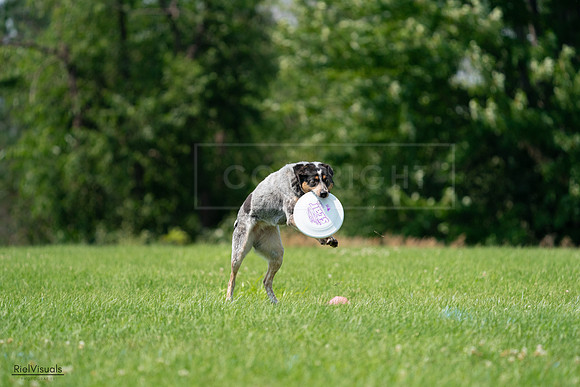 RielVisuals_20240727_134026_SJR08029
