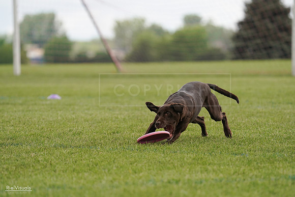 RielVisuals_20240527_140511_SJR01368