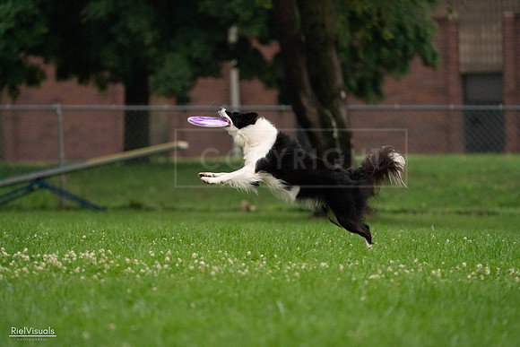 RielVisuals_20240722_194033_SJR01798
