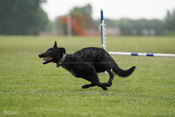 RielVisuals_20240526_092334_SJR09891