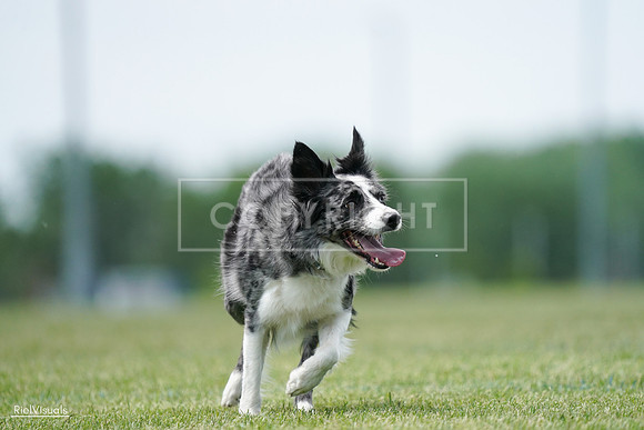 RielVisuals_20240525_124452_SJR01160