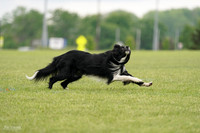RielVisuals_20240527_131844_SJR09264