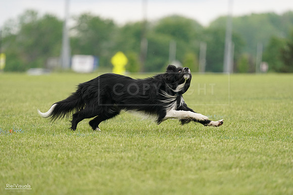 RielVisuals_20240527_131844_SJR09264