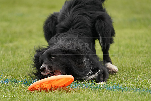 RielVisuals_20240527_131944_SJR09431