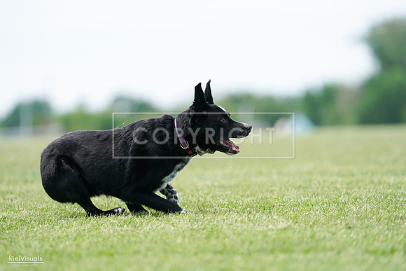 RielVisuals_20240525_124951_SJR01317