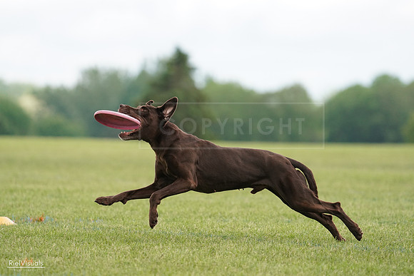 RielVisuals_20240527_140524_SJR01412