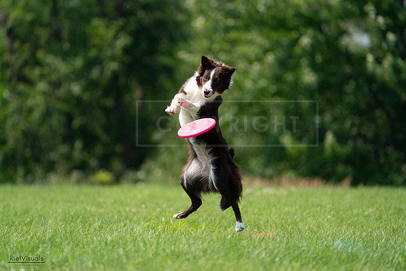 RielVisuals_20240727_140348_SJR09453