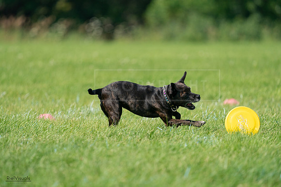 RielVisuals_20240728_103802_SJR08689
