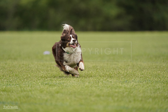 RielVisuals_20240527_132418_SJR09649