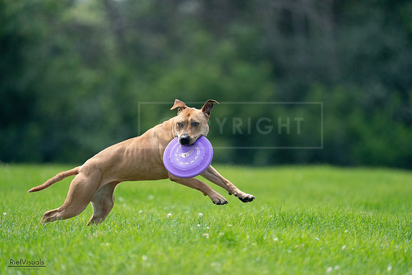RielVisuals_20240728_131318_SJR05429