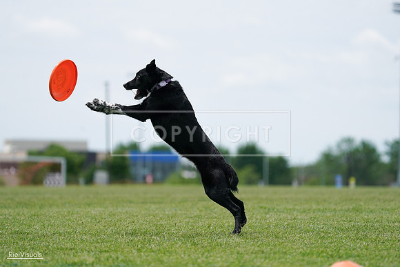 RielVisuals_20240525_124947_SJR01307