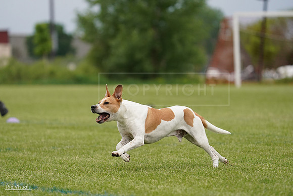 RielVisuals_20240526_134050_SJR08670
