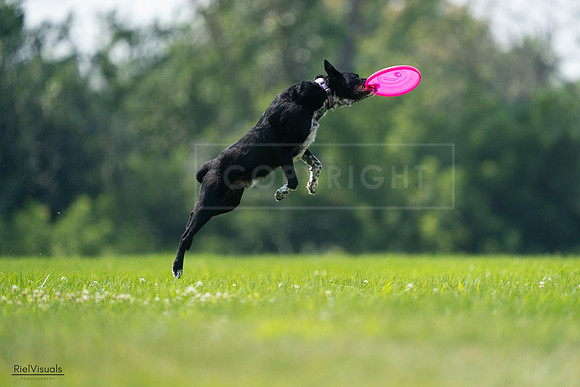 RielVisuals_20240727_125912_SJR06461