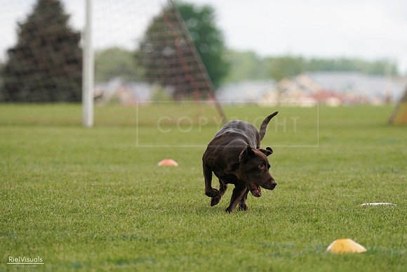 RielVisuals_20240527_140459_SJR01359