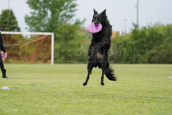 RielVisuals_20240526_133826_SJR08443