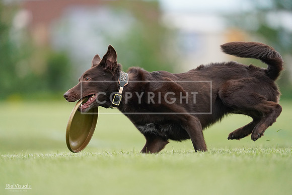 RielVisuals_20240525_162225_SJR04309