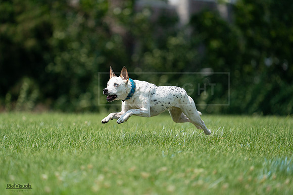 RielVisuals_20240727_134612_SJR08346