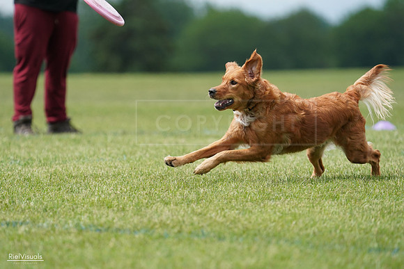 RielVisuals_20240527_142143_SJR02496