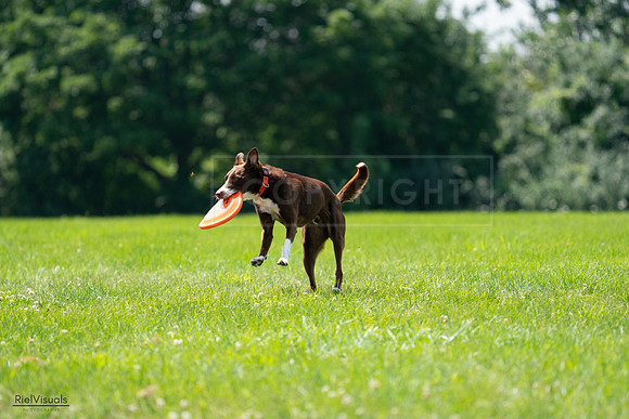 RielVisuals_20240728_123341_SJR04208