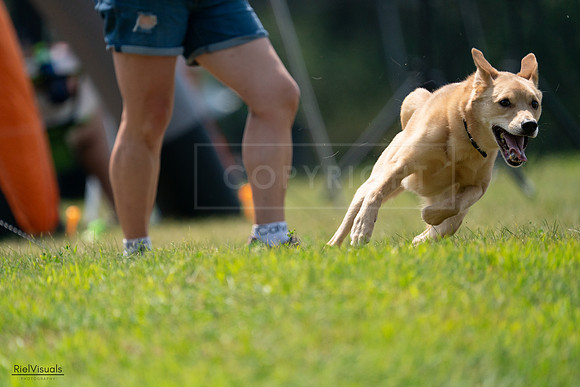 RielVisuals_20240727_120030_SJR04498