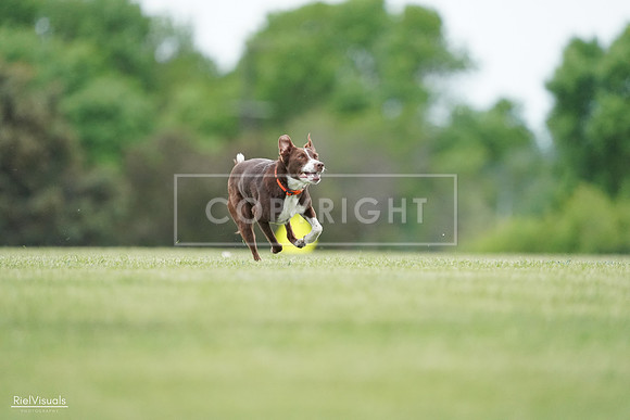 RielVisuals_20240525_162545_SJR04393