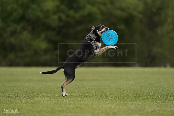 RielVisuals_20240526_134427_SJR08889