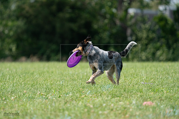 RielVisuals_20240728_143542_SJR08674