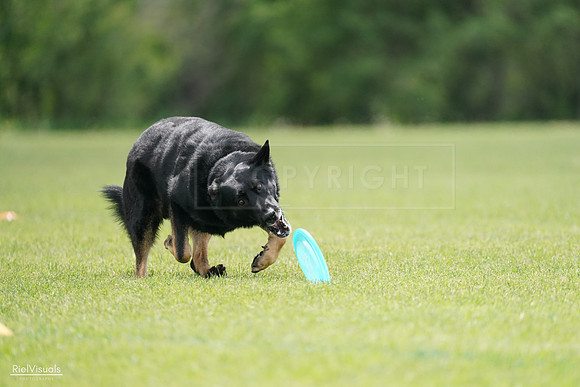 RielVisuals_20240527_141302_SJR02009