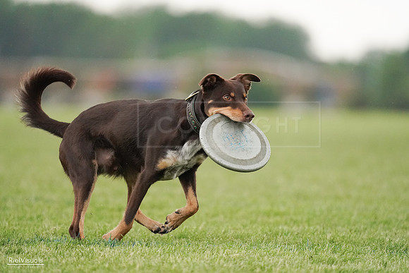 RielVisuals_20240526_095730_SJR01492