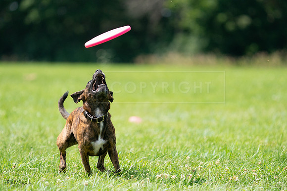RielVisuals_20240728_124100_SJR04515