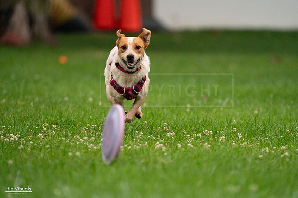 RielVisuals_20240722_193733_SJR01575