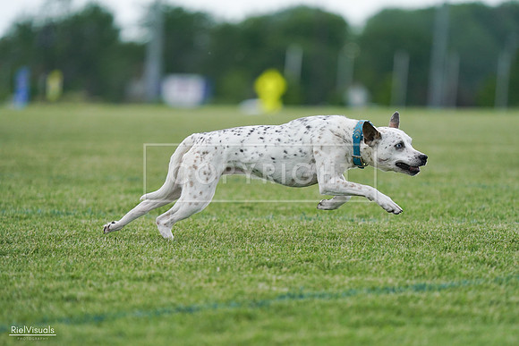 RielVisuals_20240525_135357_SJR09826