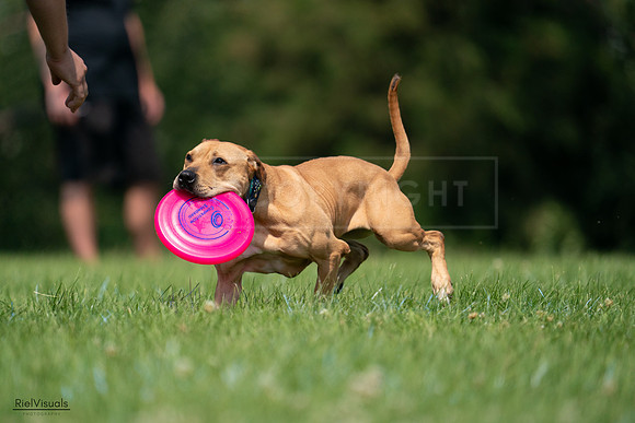 RielVisuals_20240727_115219_SJR04138