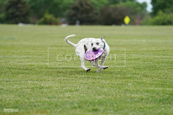 RielVisuals_20240525_160332_SJR03344