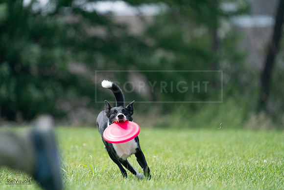 RielVisuals_20240728_143942_SJR08805