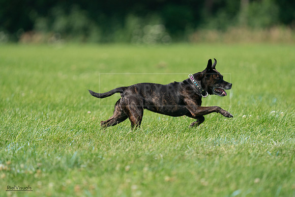 RielVisuals_20240728_103802_SJR08684
