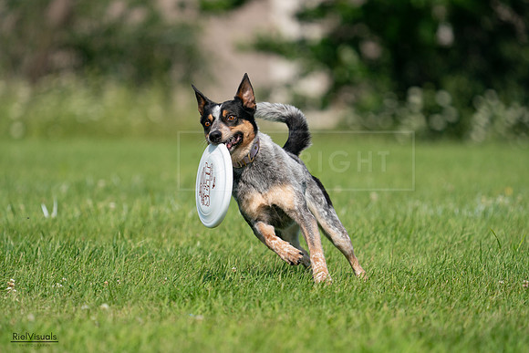 RielVisuals_20240728_103309_SJR08510