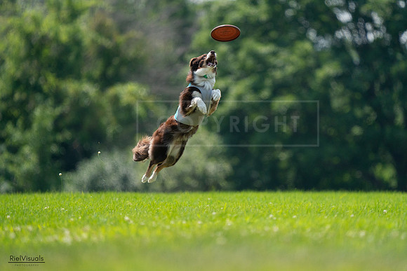 RielVisuals_20240727_130400_SJR06718