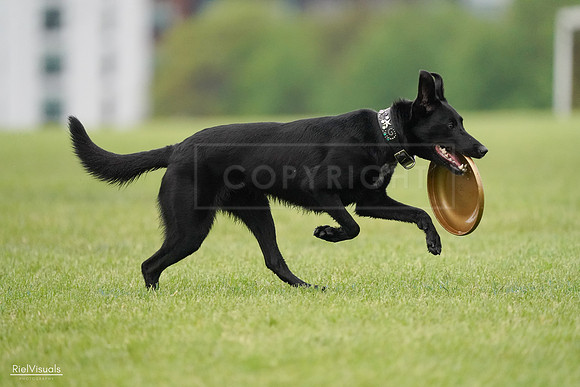RielVisuals_20240527_110436_SJR02854