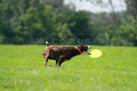 RielVisuals_20240727_125114_SJR06231