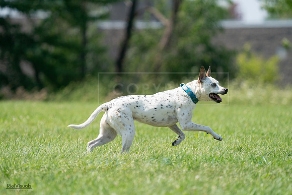 RielVisuals_20240728_144200_SJR08916